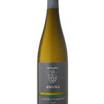 אור הגנוז כרם עמוקה גוורצטרמינר