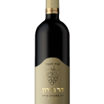 אור הגנוז - הר מירון (פורט)