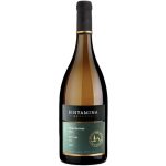 בנימינה רזרב שרדונה