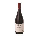 סגל אדום יבש