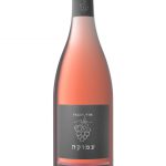 אור הגנוז - כרם עמוקה - רוזה